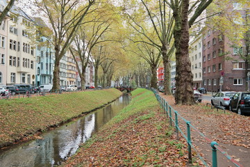 Autumn landscape, Dussel river in autumn, autumn leaves and river