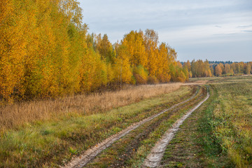 Fototapeta na wymiar Autumn landscape with road and beautiful colored trees