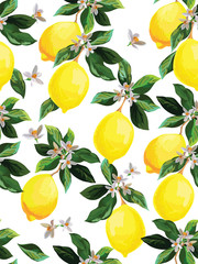 Seamless citrus vector pattern. Exotic background. Hand drawn illustration with lemons. Tropical fruit wallpaper.