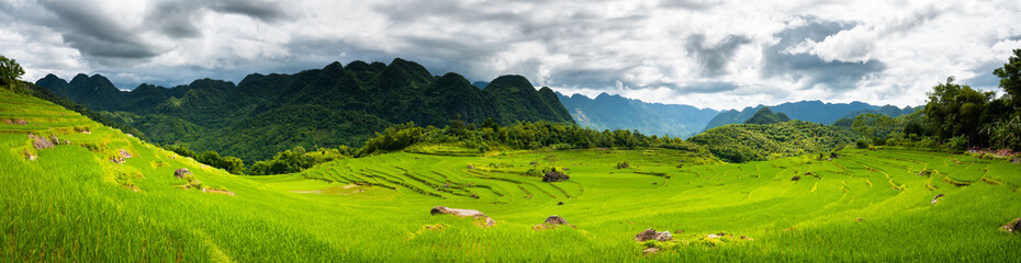 Terraced green and yellow rice fields of Pu Luong, close to Mai Chau in Thanh Hoa province. Transition stage to harvest season in Pu Luong. Stitched panorama. 