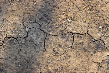 the sun's rays fall a little shrinkage cracks on dry land