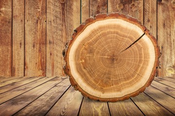 Wood round slice on wooden desk