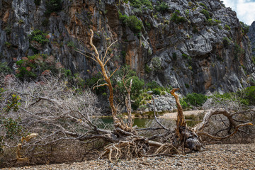 Torrent de Pareis, Canyon de la Calobra in the island of Mallorca
