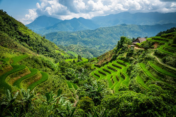 Landscape of Vietnam, terraced rice fields of Hoang Su Phi district, Ha Giang province. Spectacular...