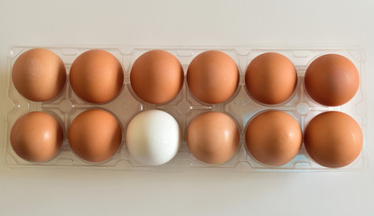 Isolated closeup of eleven brown and one white egg in center representing racial diversity and racial harmony