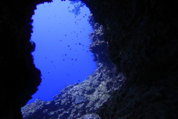 宮古島市下地島にあるダイビングスポットの海底洞窟の女王の部屋から頭上を見上げる景観