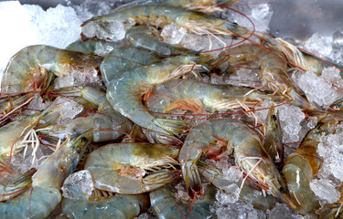 Fresh shrimps wiht ice in market. It's a raw material for cooking.
