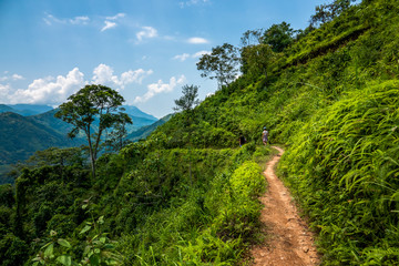 People hiking at Hoang su Phi mountains, Ha Giang province, Vietnam. 