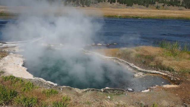 Fountain Flat Drive is the access point for many different activities. At the front of the drive is the Nez Perce Picnic area, situated at the confluence of the Firehole River and Nez Perce Creek.