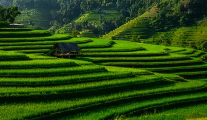 Foto op Aluminium Landschap van Vietnam, terrasvormige rijstvelden van het district Hoang Su Phi, provincie Ha Giang. Spectaculaire rijstvelden. © Jeroen