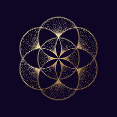 Flower of life symbol. Gold geometric symbol. Vector illustration EPS 10 - 289123471