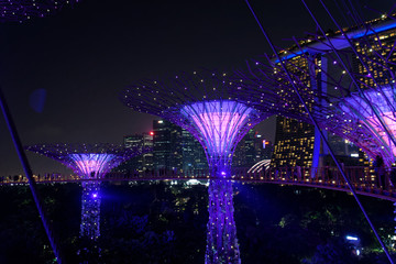 Gardens By The Bay Light Show