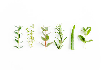 Fototapeta na wymiar Mix of herbs, green branches, leaves mint, eucalyptus, rosemary, aloe Vera and plants collection on white background. Set of medicinal herbs. Flat lay. Top view.