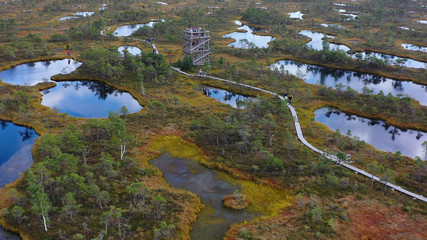 Aerial shooting from the drone. Beautiful landscape with Islands and lake. Turquoise water and beautiful winding shores with coniferous forests and wild beaches.