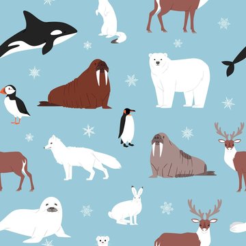 Arctic animals seamless pattern. Vector cartoon illustration of polar bear, morse, penguin and furseal. Arctic animals winter wonderland in ice blue background.
