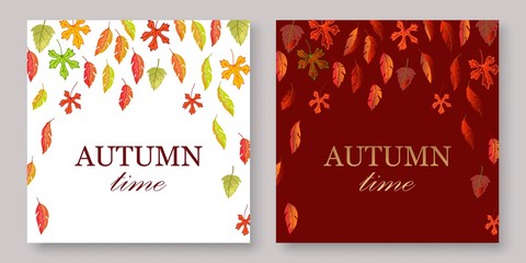 Autumn leaves banners set with white and burgundy fall background vector illustration. Yellow, orange, green, brouchure, layout, book, album burgundy autumn leaves.