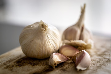 Garlic