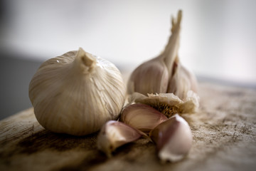 Garlic