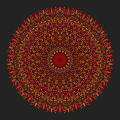 Colorful flower mandala ornament - circular abstract vecor design element