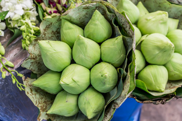 Green lotus flower Available for sale in the market