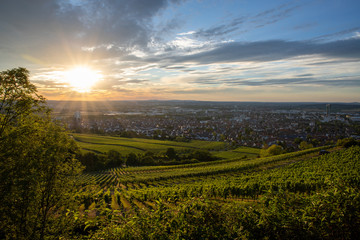 Ausblick vom Kappelberg über Fellbach