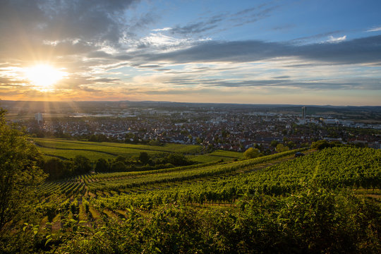 Ausblick vom Kappelberg &uuml;ber Fellbach