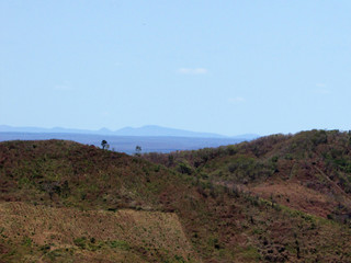 Dense shrub caatinga in Baturite region, northern Ceara