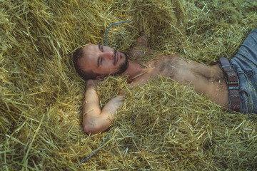 Man or macho in shorts lying in hay, the hay after harvest, hay agricultural with collected crops.