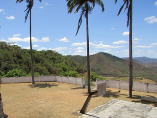Obraz na płótnie Canvas Coconut palms near abandoned basketball court in Baturite, northeast Brazil