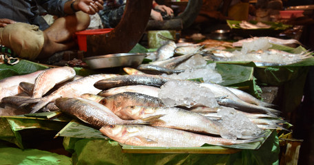 Obraz premium Fishes for Selling in Local Fish Market