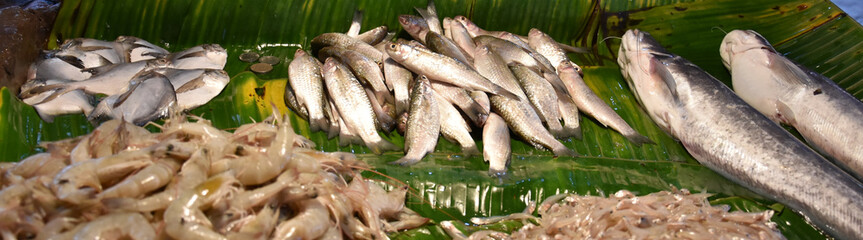 Fishes for Selling in Local Fish Market