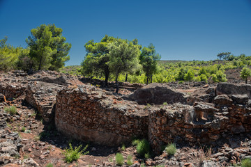 Fototapety na wymiar - Fototapeta24.pl
