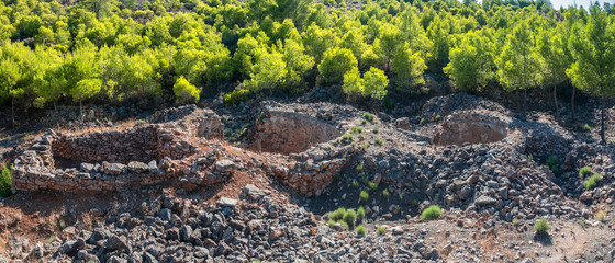 Fototapety na wymiar - Fototapeta24.pl