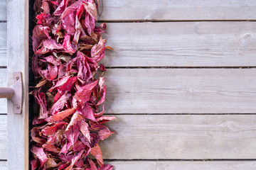 Fallen leaves on wooden floor background empty place for text