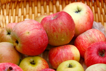 Rotgelbe Äpfel im Korb