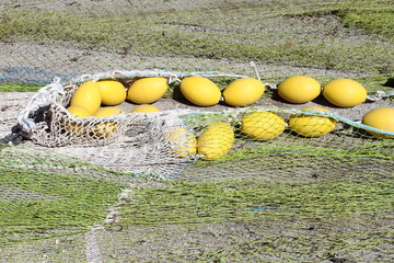 Fishing nets