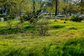 Сквер Актау