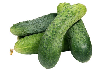  isolated on white background ripe vegetable.cucumber
