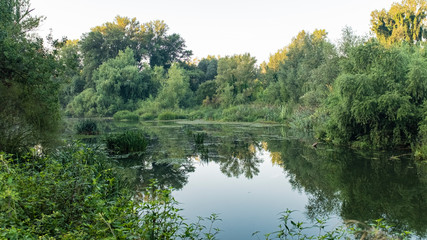 Quiet water on a wide river with tree forest reflected like a mirror on a green landscape