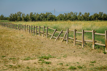 Fototapeta na wymiar Wooden fence on a rural field landscape