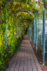 Climbing Arch on the Roof of the University Library in Warsaw