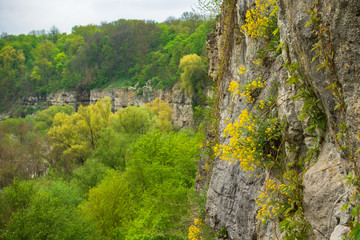 Stone canyon in Kamenets-Podolsk, Ukraine