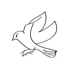 Colibri or humming bird icons. Vector isolated set of flying birds with spread flittering wings