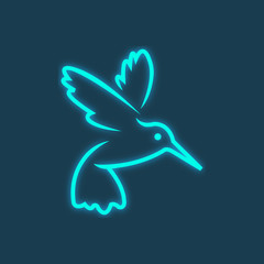Colibri or humming bird icons. Vector isolated set of flying birds with spread flittering wings