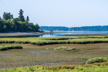 Nisqually Wetlands River 7