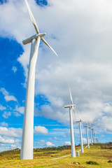 Fototapeta premium Wind turbines of a wind farm