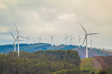 Wind turbines of a wind farm