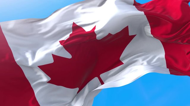 Canadian flag video waving in wind 4K. Realistic Canada background. Canadian background looping 3840x2160 px.