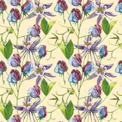 Seamless patterns. Watercolor set of Sweet Peas flowers and leaves, hand drawn floral illustration isolated on a white background. Collection garden and wild herb, flowers, branches. Botanical art.