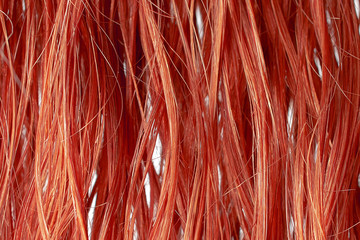 Wet red hair as background, texture